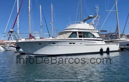 Bertram 46.6 ficha técnica y opiniones